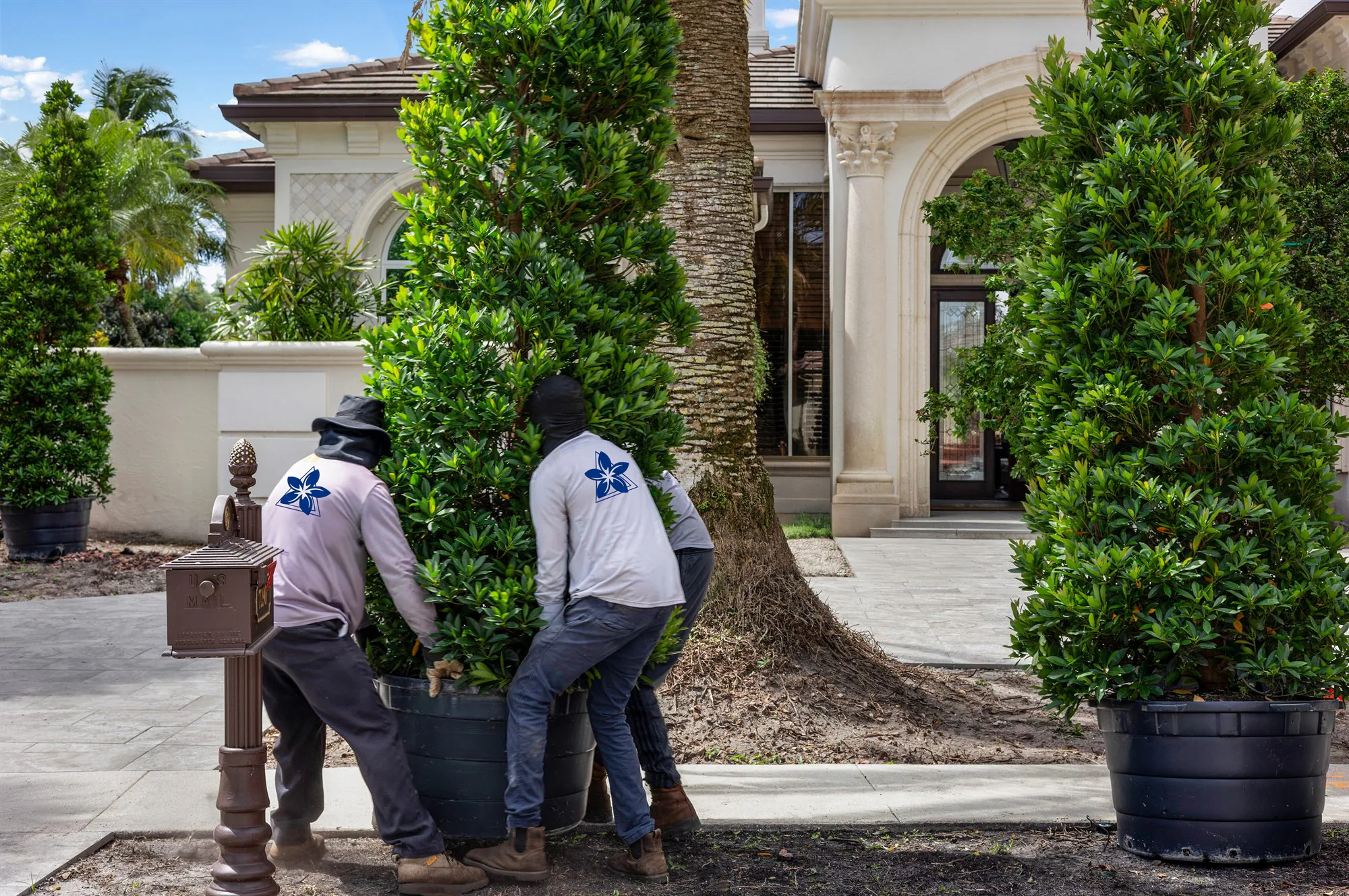 A Power Group Care crew setting a specimen tree at an estate entrance