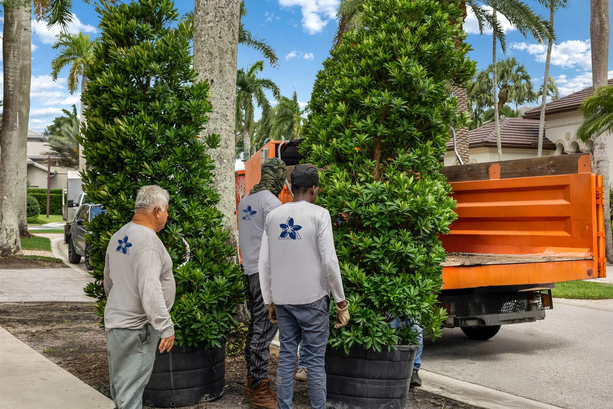 Design & Installation by Power Group Care on a Palm Beach County property
