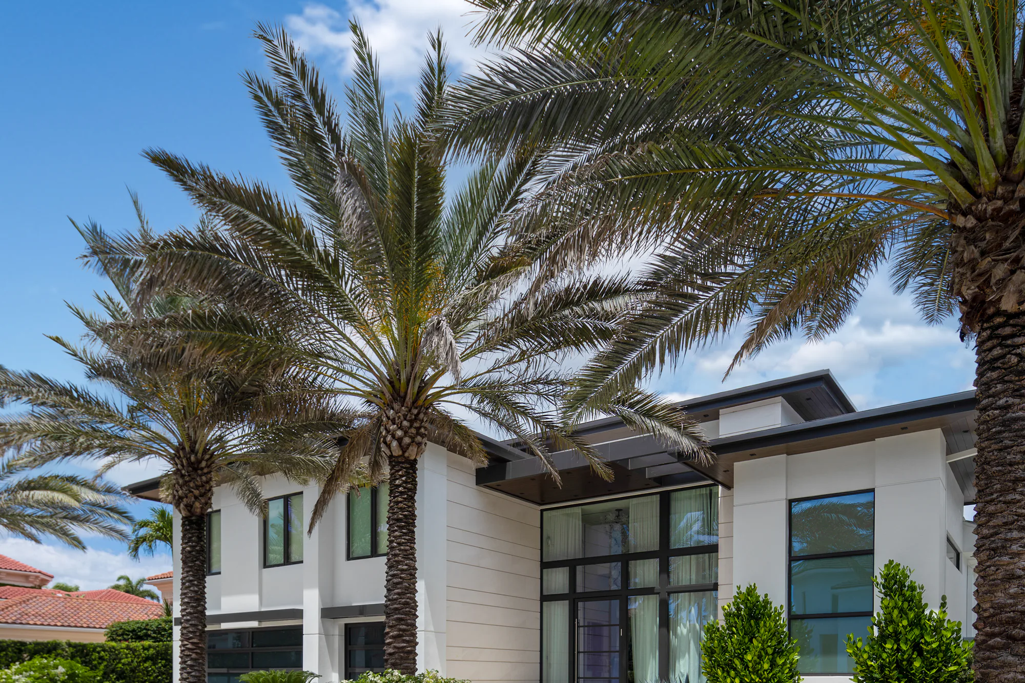 Tree & Palm Care by Power Group Care on a Palm Beach County property
