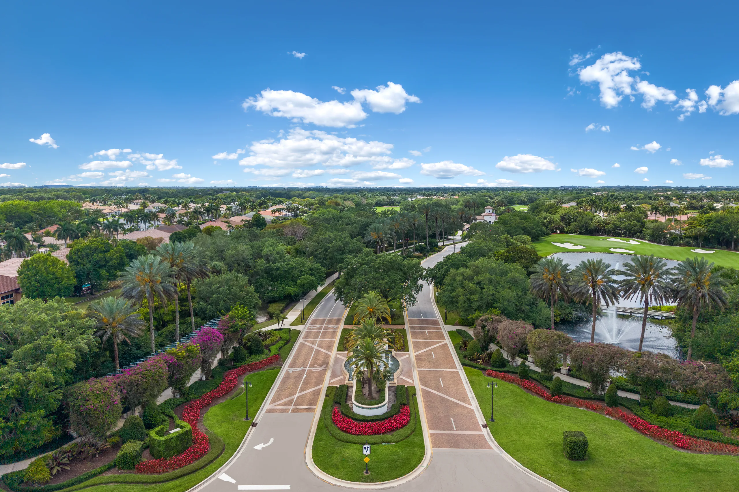 Landscaping, Irrigation and Tree Services in Palm Beach County | Power ...