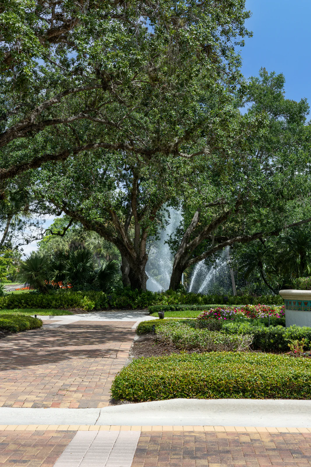 Oak canopy and water feature, by Power Group Care in Palm Beach County