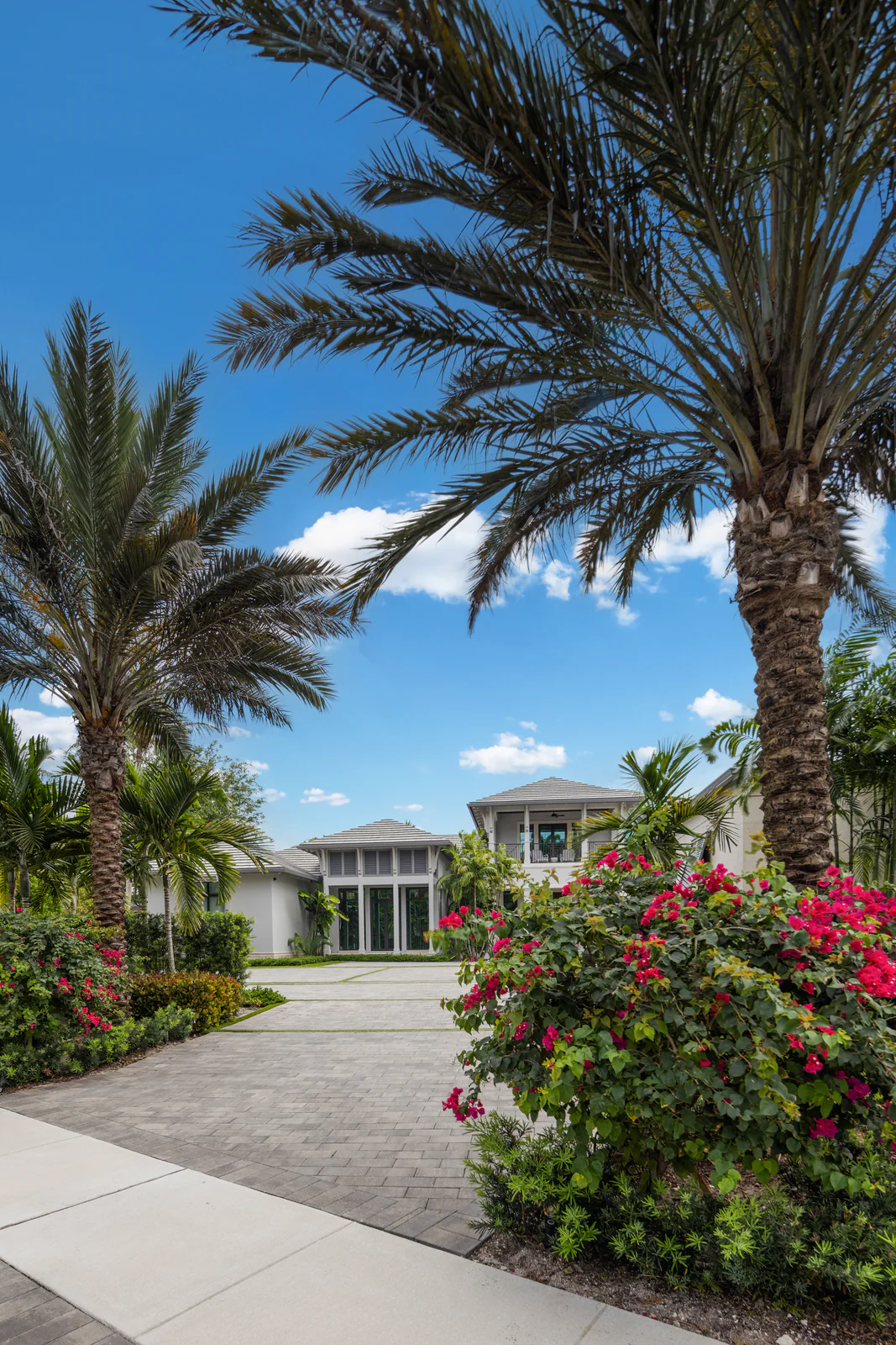 Paver drive and bougainvillea, by Power Group Care in Palm Beach County