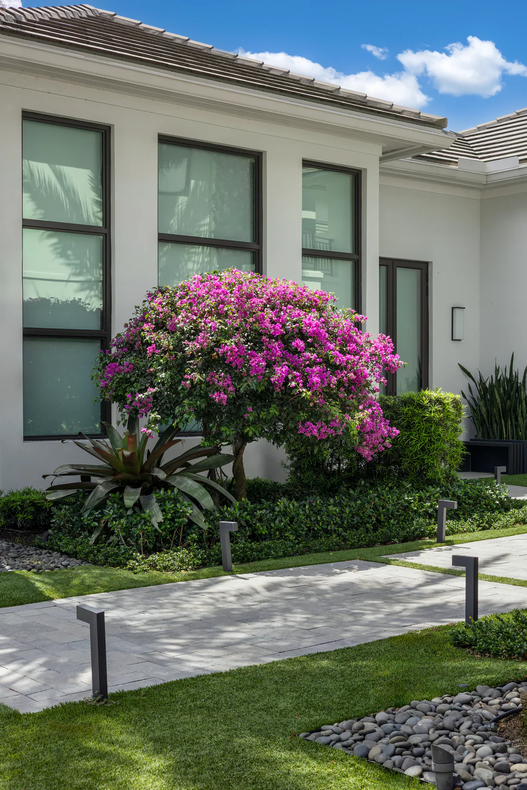 Bougainvillea and bed planting, by Power Group Care in Palm Beach County