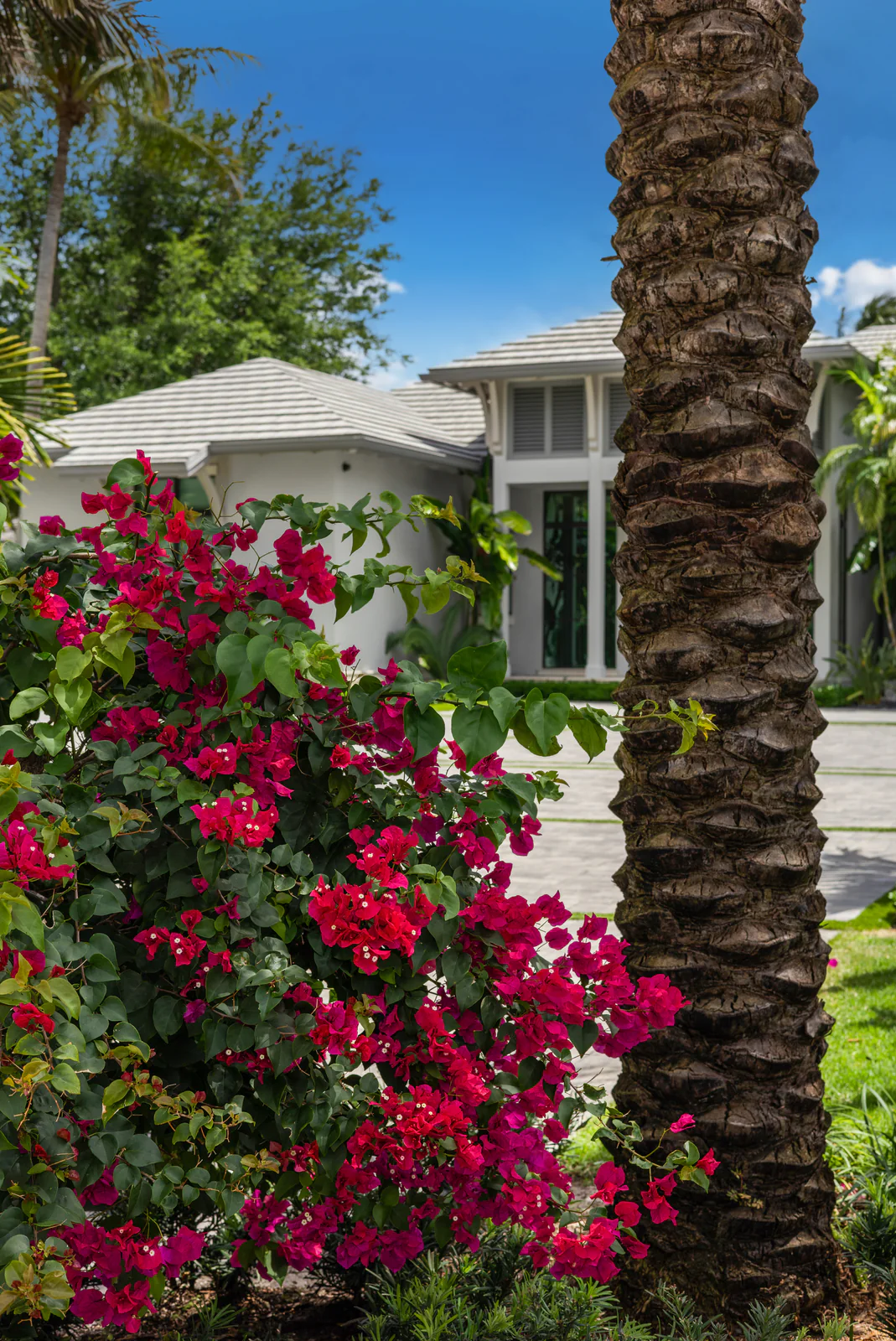 Bougainvillea at the door, by Power Group Care in Palm Beach County