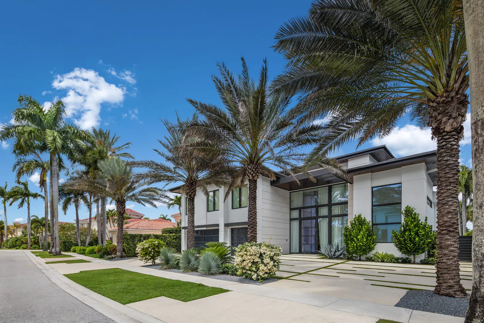 Paver drive and palms, by Power Group Care in Palm Beach County