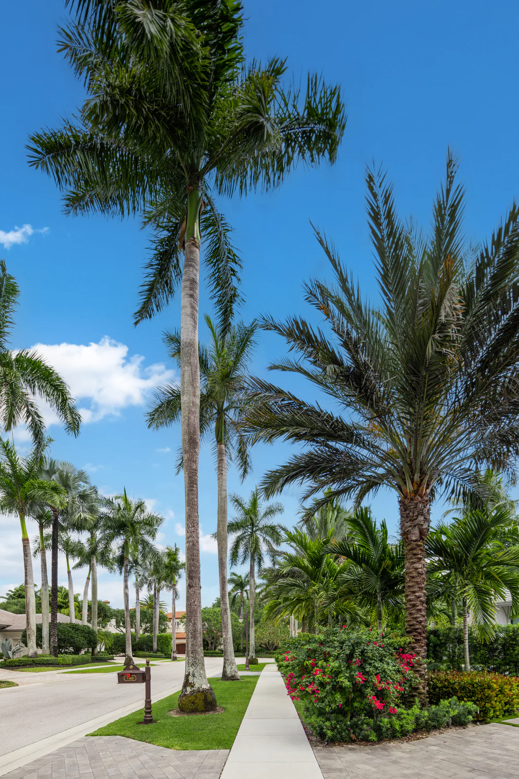 Royal palm avenue, by Power Group Care in Palm Beach County