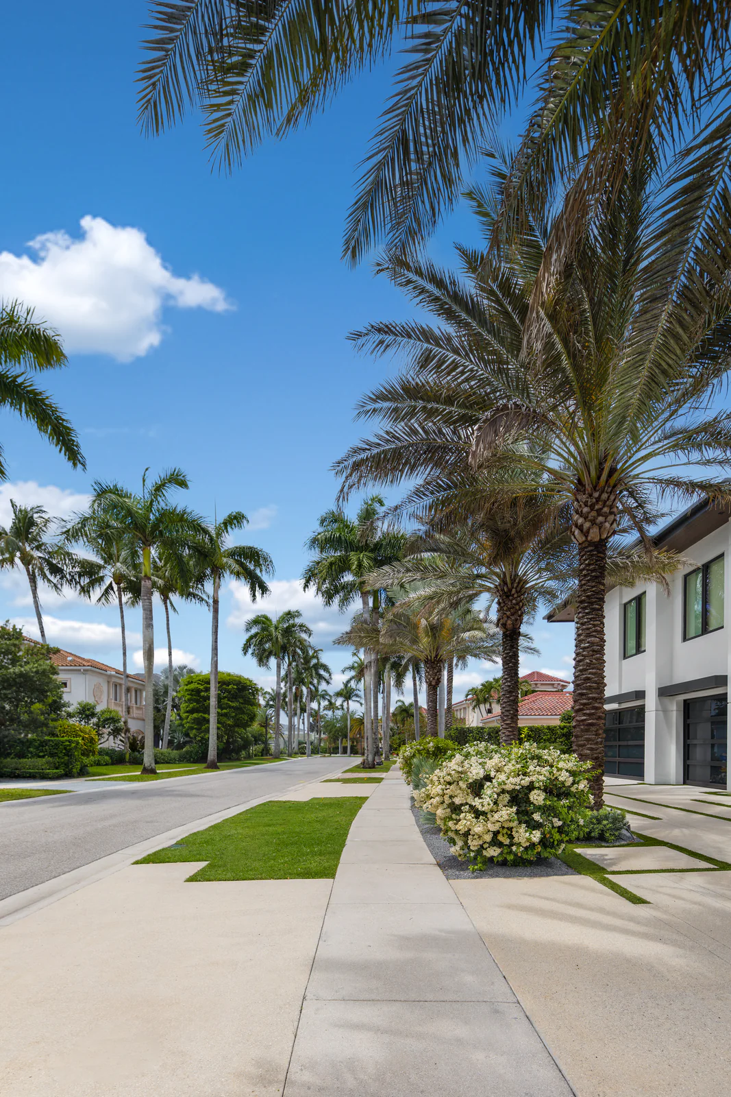 Palm-lined community drive, by Power Group Care in Palm Beach County