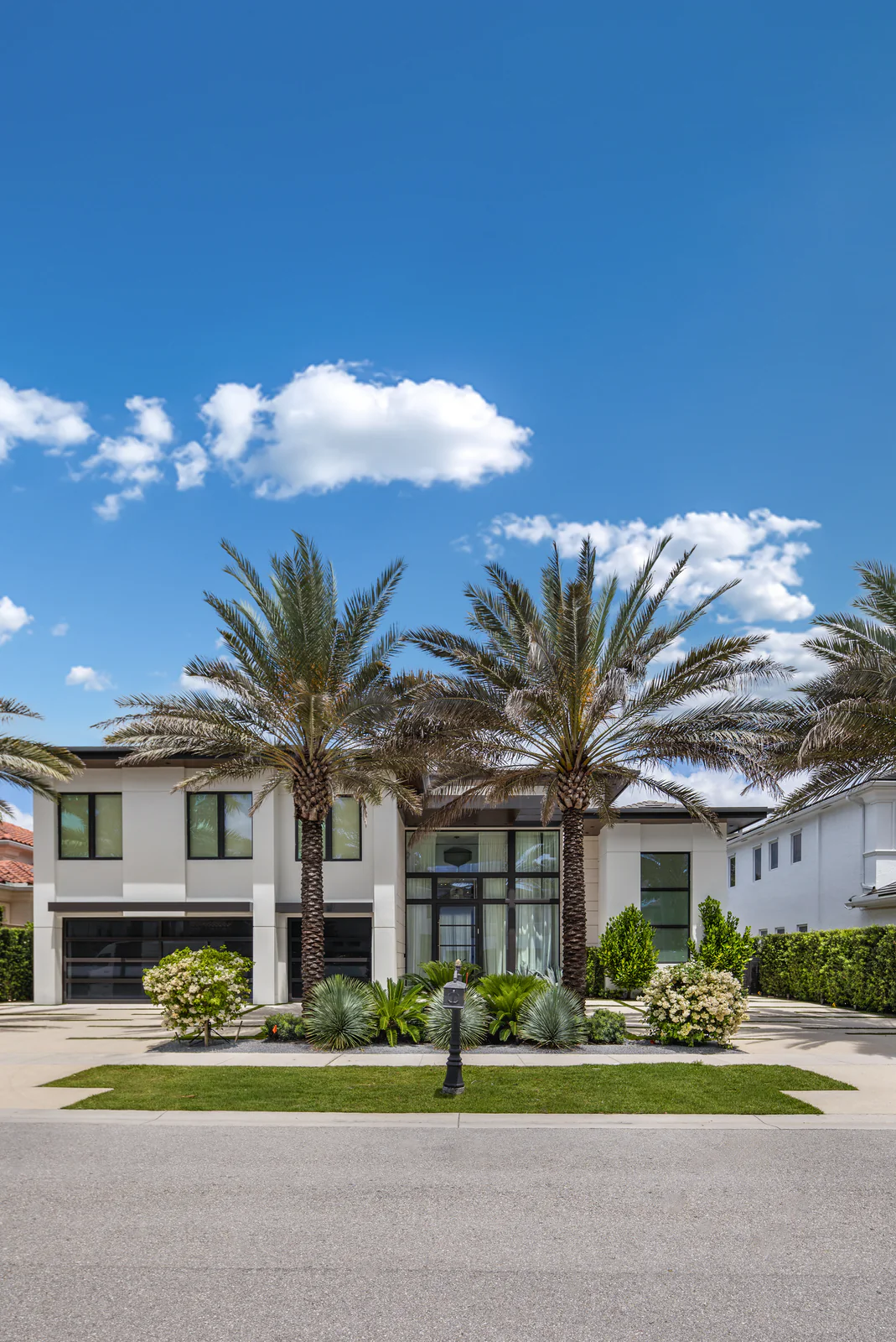 Date palms at the frontage, by Power Group Care in Palm Beach County