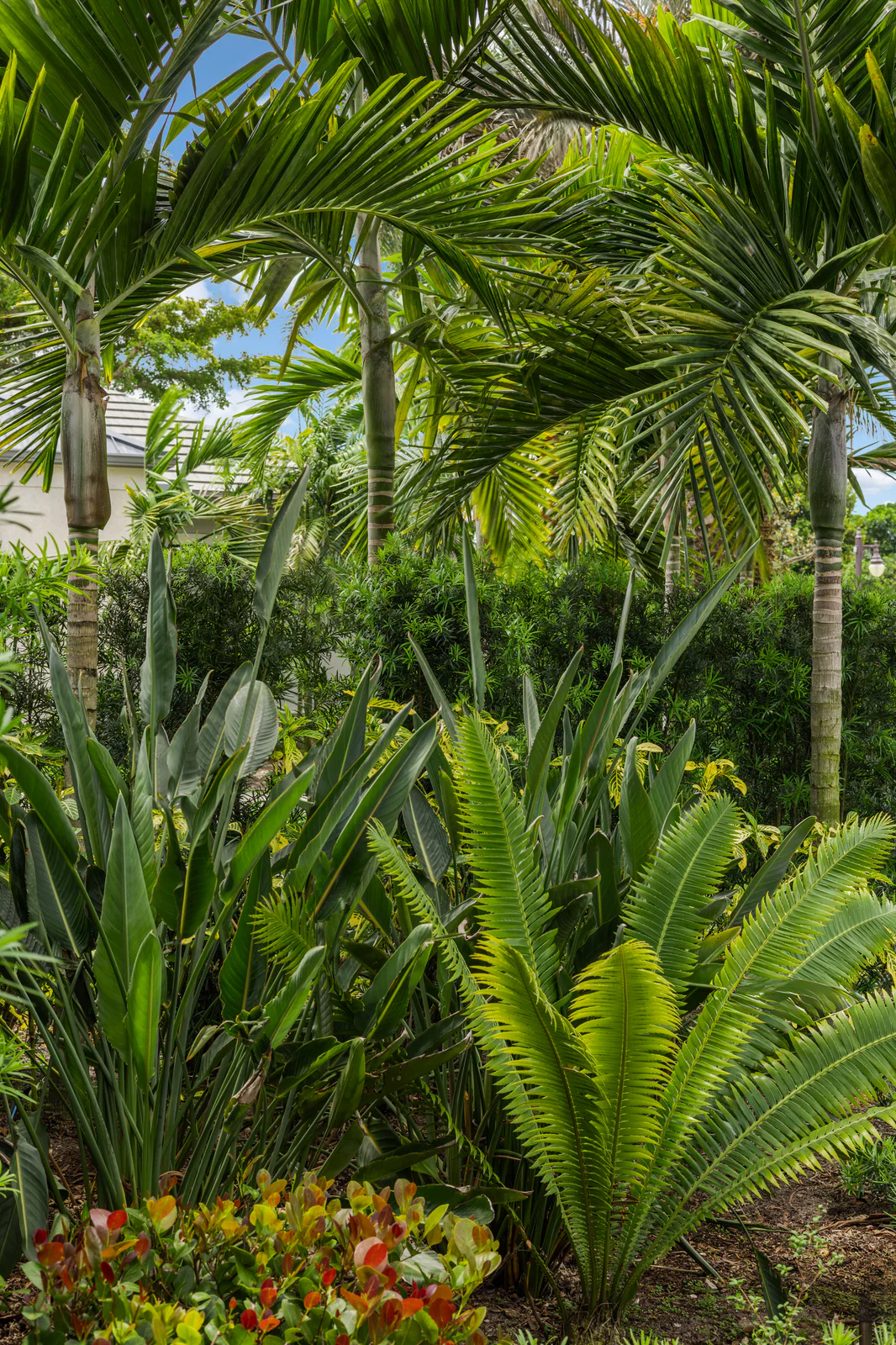 Layered tropical bed, by Power Group Care in Palm Beach County