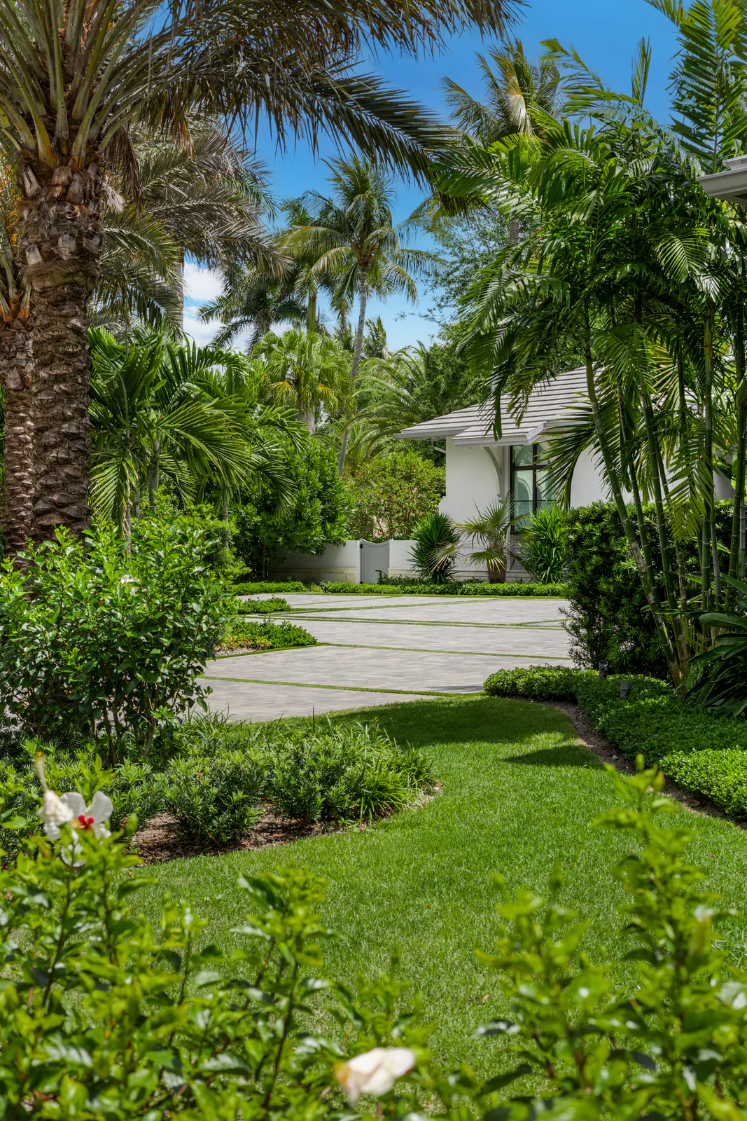 Lawn and palm cluster, by Power Group Care in Palm Beach County